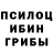 Галлюциногенные грибы GOLDEN TEACHER Nick Smith