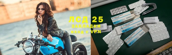 амф Алзамай