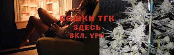 стаф Ельня