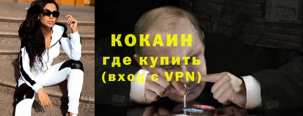 кокс Алексин