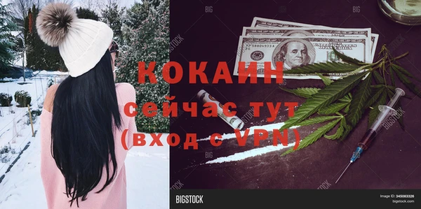 кокс Алексин