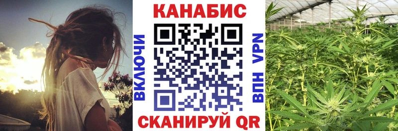 Канабис план  купить  сайты  Камышин 